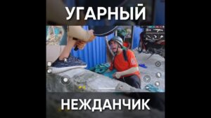 ТИПИЧНЫЙ ФРИ ФАЕР - УГАРНЫЙ НЕЖДАНЧИК / garena free fire #shorts