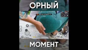 ТИПИЧНЫЙ ФРИ ФАЕР - ОРНЫЙ МОМЕНТ / garena free fire #shorts
