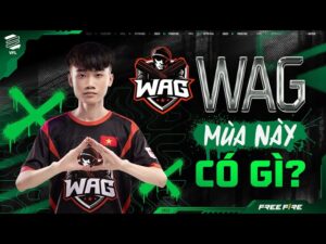 WAG sẽ tỏa sáng tại VFL Spring 2023 với các tài năng trẻ! | Cảm nhận Esports