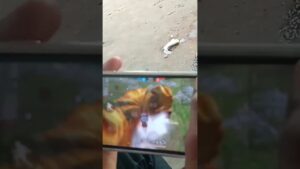 Garena Free Fire IMPOSSIBLE 🍷🗿