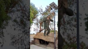 Garena Free Fire sent a monkey making gift to my house for brother 🤩🔥 #shorts#freefireshorts