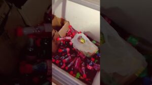 Garena Free Fire Sent Me Eno And Coldrink mix🤩#shorts #freefire #surajyadavexplore