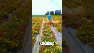 Garena Free Fire sent a flowers tricks to my house for brother 🥰😊 #shorts #freefireshortstory