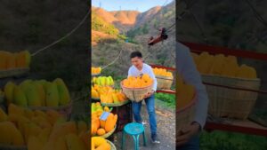 Garena Free Fire sent a mango tree chemical to my house for brother 🥰😊 #shorts #freefireshortstory