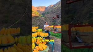 Garena Free Fire Sent Me Black Mango For My Brother🤩 #shorts #comedy #freefire #factsman