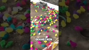 Garena Free Fire sent a agg baby hen to my house for brother 🥰😊 #shorts #freefireshortstory