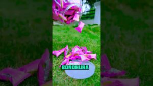 Garena Free Fire sent a chewinggum roti to my house for brother 😊 #shorts #freefireshortstory