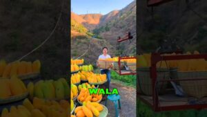 Garena Free Fire Sent Me Black Mango For My Brother🤩 #shorts #comedy #freefire #factsman