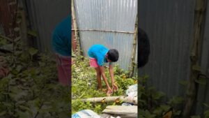 Garena Free Fire sent butterfly gadget 7 a to my house for brother 😊 #shorts #freefireshortstory