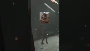 la escopeta más ROTA en warzone / SueterUwU #freefire #garenafreefire #gaming