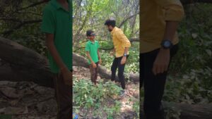 Garena Free Fire sent a anywhere hand for brother to my house 🤩🔥 #shorts#freefireshorts