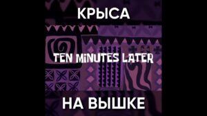 ТИПИЧНЫЙ ФРИ ФАЕР - КРЫСА НА ВЫШКЕ / garena free fire #shorts