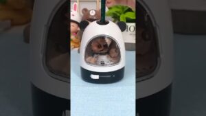 Garena Free Fire sent a automatic sharpner 23 😱to my house for Brother #shorts#freefireshorts