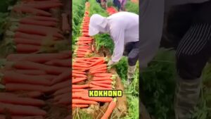 Garena Free Fire sent a carrot making flowers to my house for brother 🥰 #shorts #freefireshortstory