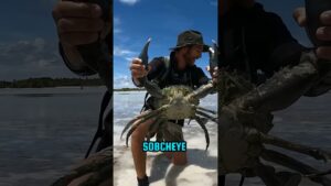 Garena Free Fire sent a crab 786 to my house for brother 🥰 #shorts #freefireshortstory