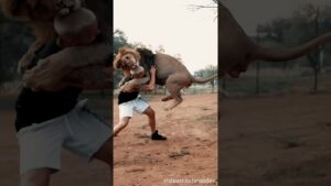 Garena Free Fire sent a zoo truck 786 to my house for brother 🥰 #shorts #freefireshortstory