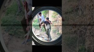 Unlucky Noob Camper vs Pro Player 😎Garena Free Fire Max #ytshorts #shorts