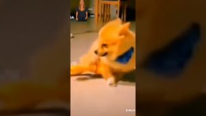 🤣😂#edit #freefire #garenafreefire #freefirelovers #viral #garena #youtubeshorts #free #humor #shorts