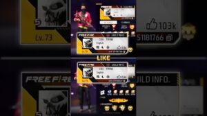TOP 3 FREE FIRE TWIN'S ID                     #garenafreefire #ff #FFTWINS #fftwins #impossible