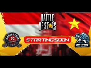 LAGA INTERNASIONAL CS INDONESIA VS VIETNAM DOMINATOR DAN NINJAYU SIAPA MENANG ? #freefire #live