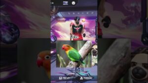 Cual es tu mascota 🤔🐶#freefire #ff #free #garenafreefire #garena #frifayer #gaming