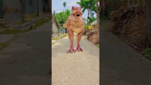 Garena Free Fire sent a dinosaur part 001 😱to my house for brother  #shorts #freefireshortstory