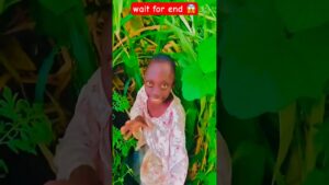 Garena Free Fire sent a rango tange part 3 😱to my house for brother 🥰 #shorts #freefireshortstory