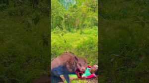 Garena Free Fire sent a bhediya attack part 24😱to my house for brother  #shorts #freefireshortstory