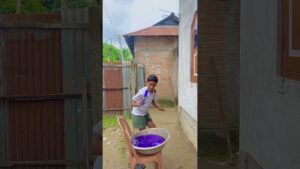 Garena Free Fire sent a magic water 3 😂 to my house for brother 🥰 #shorts #freefireshortstory